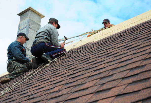 Best Local Roofing Companies  in Quinebaug, CT